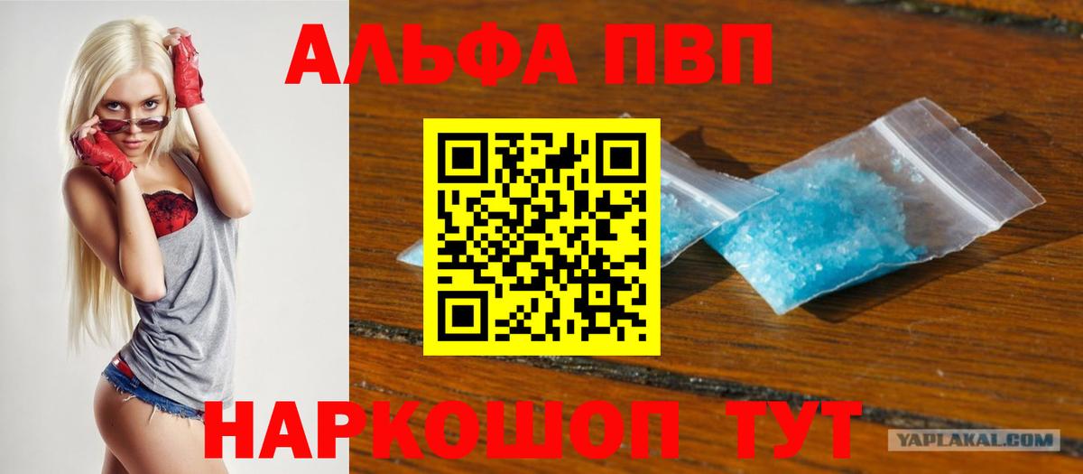 Alfa_PVP СК Шадринск