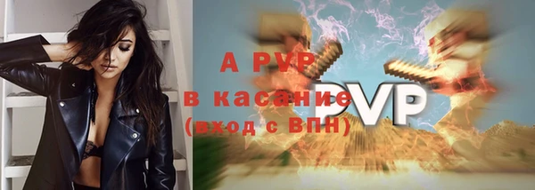 Альфа ПВП Новодвинск