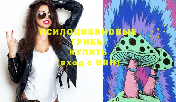 герыч Няндома