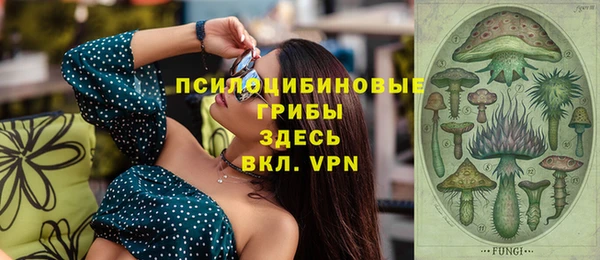 а пвп мука Новозыбков