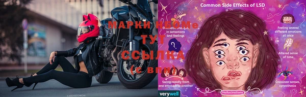 а пвп мука Новозыбков